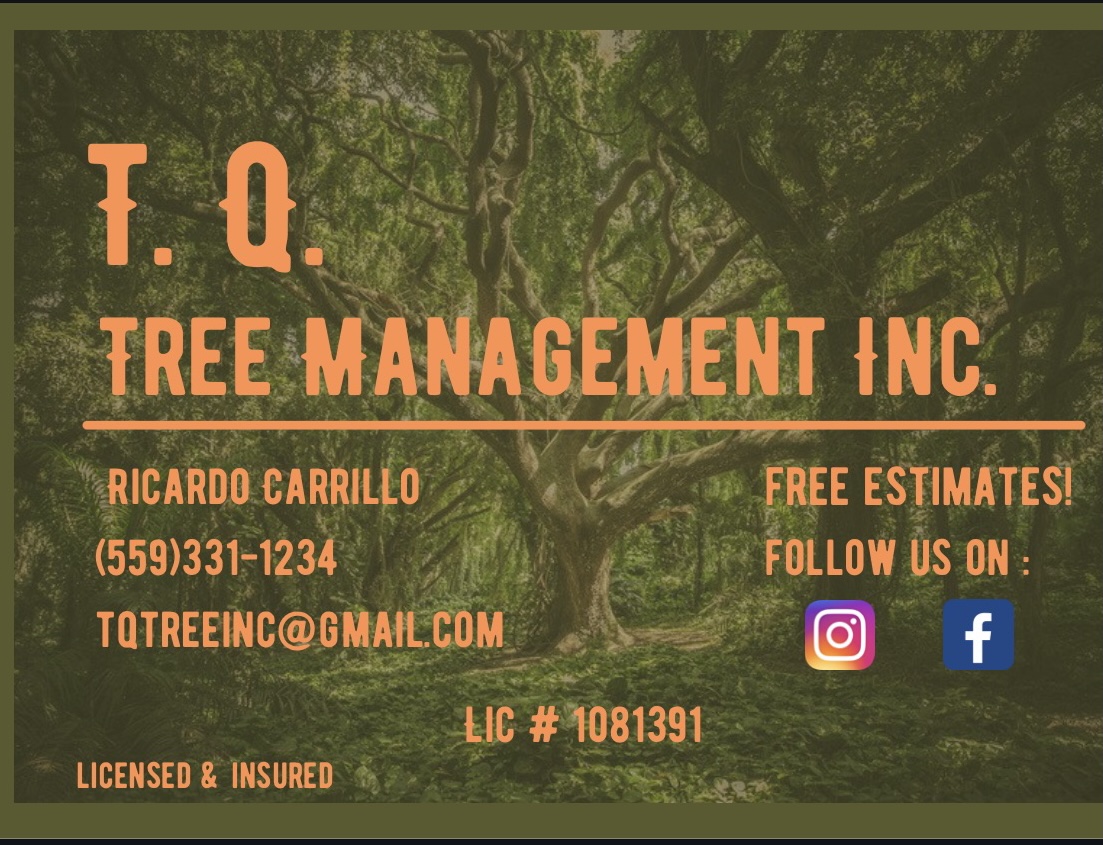 T.Q. Tree Management inc logo