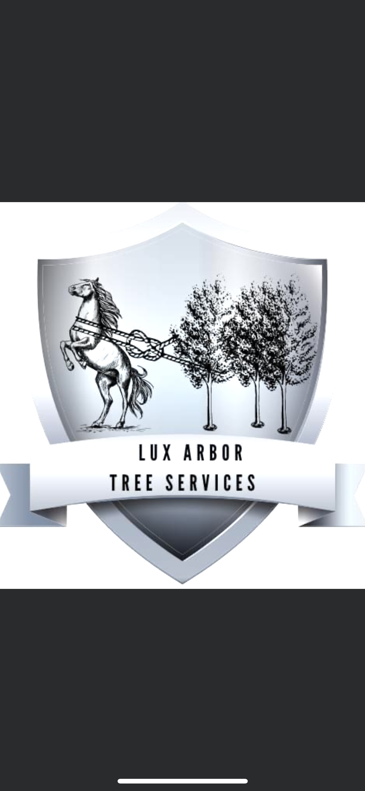 Avatar for Lux Arbor Tree Services