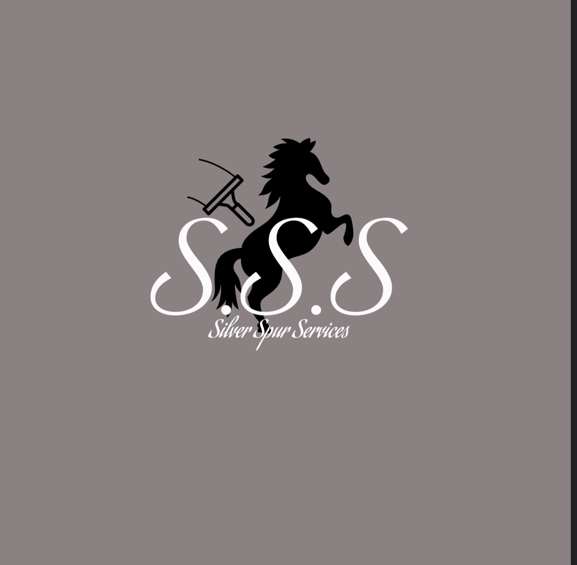 Logo for Silver Spur services