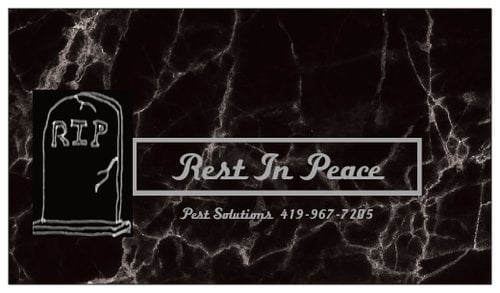 Avatar for R.I.P. Pest Solutions