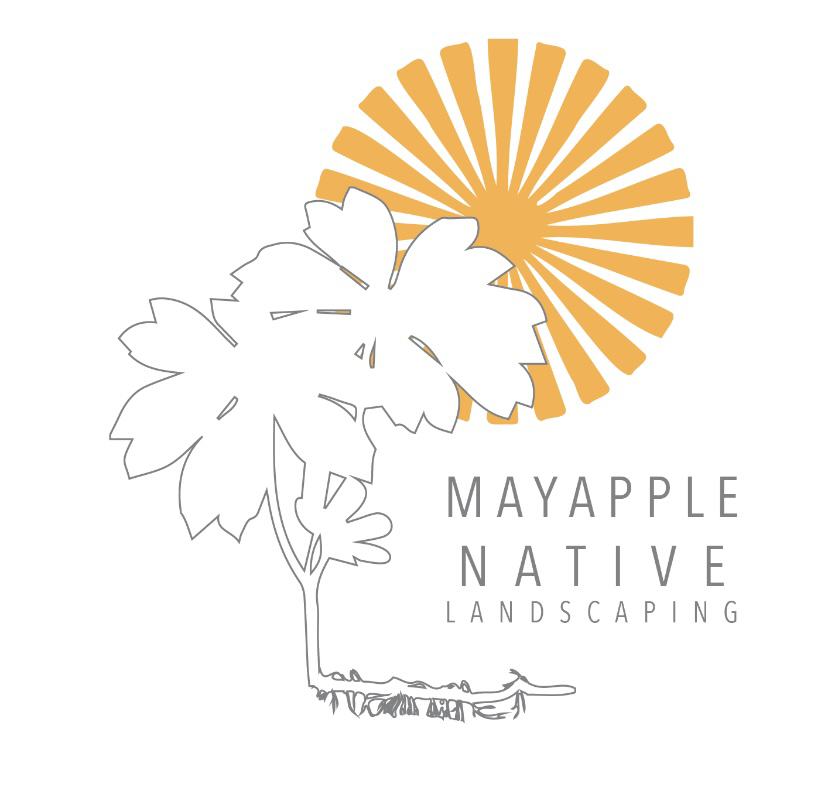 Mayapple Native Landscaping LLC logo