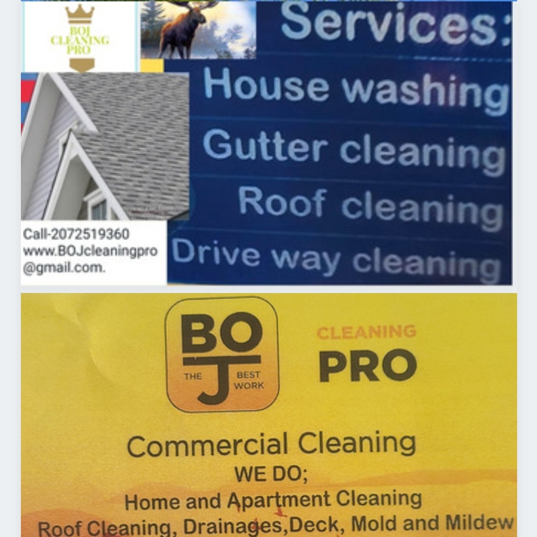 Avatar for BoJ cleaning pro :