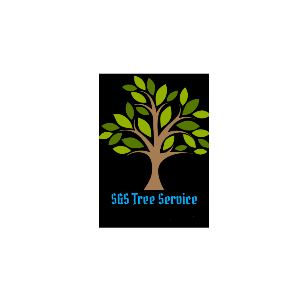 Avatar for S&S Tree Service