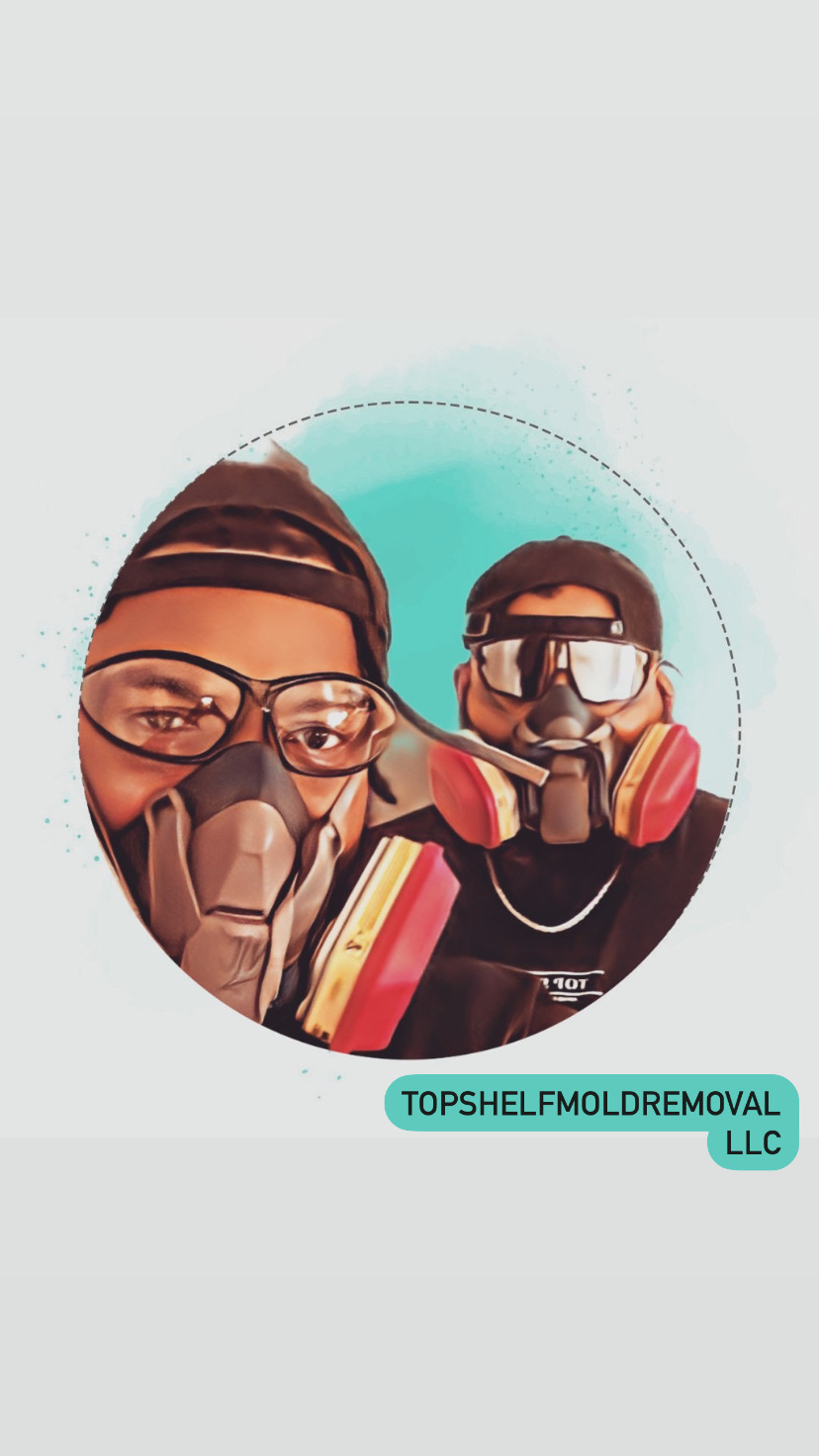 Avatar for Top Shelf Mold Removal LLC