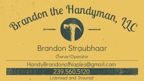 Brandon the Handyman, LLC logo