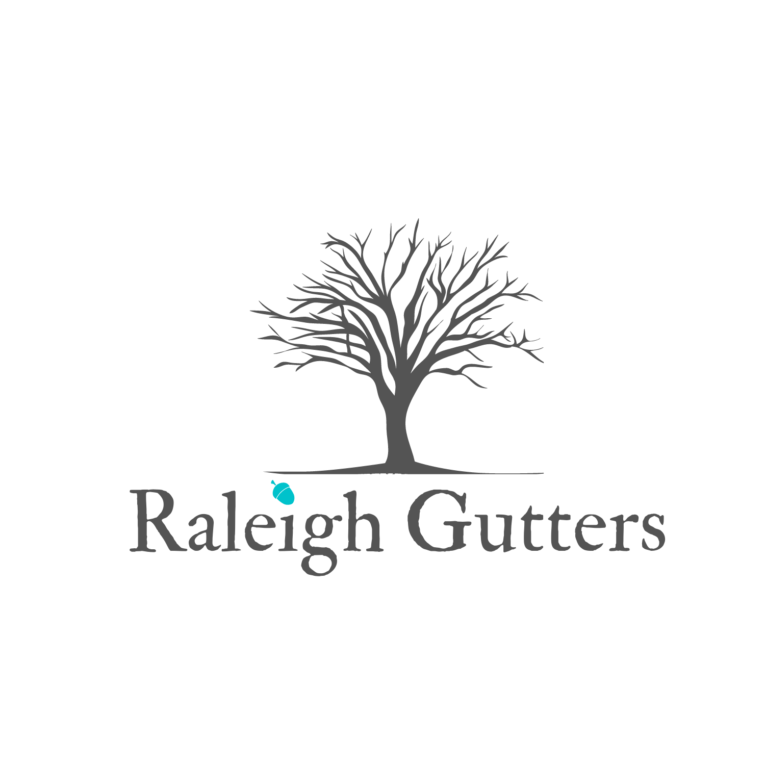 Raleigh Gutters logo
