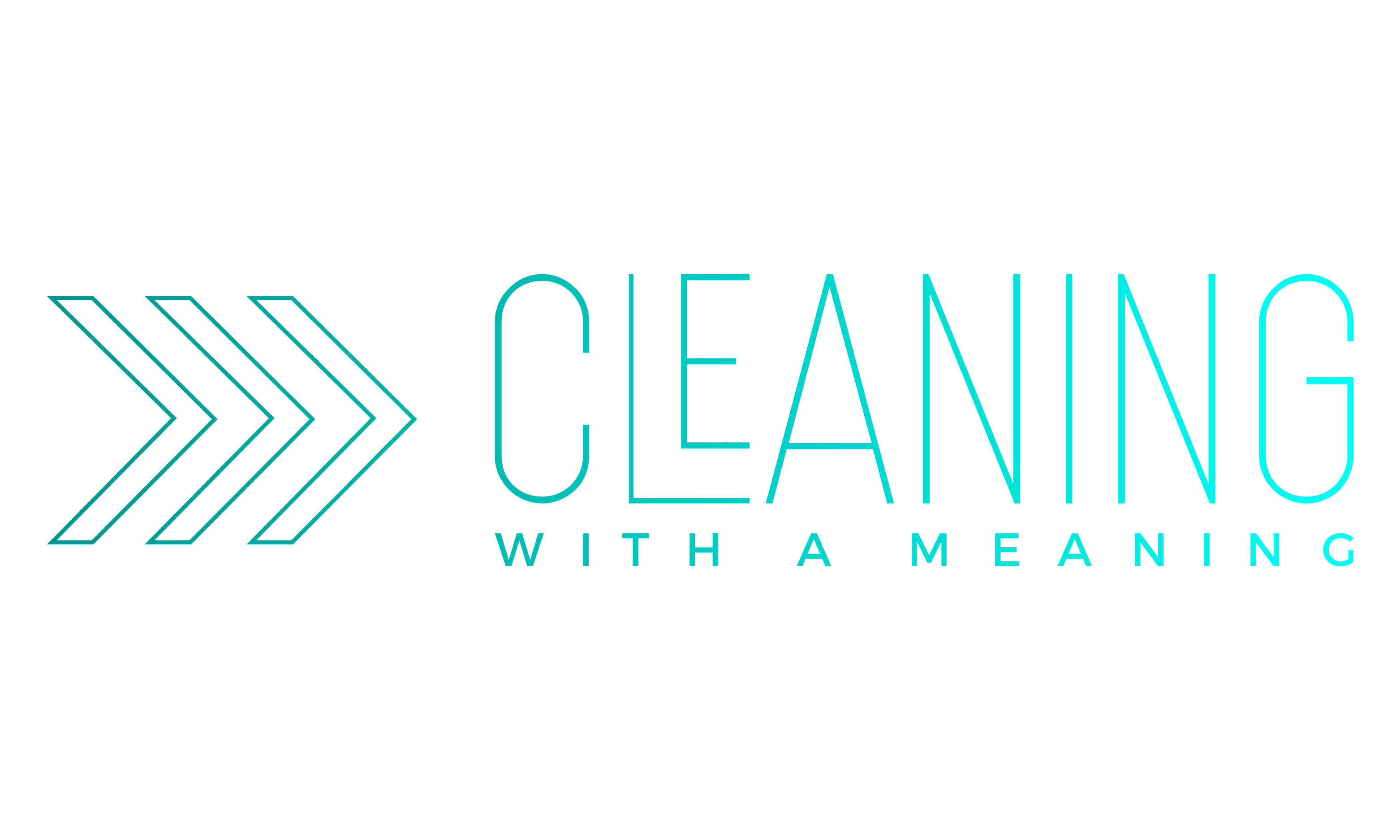 Logo for Cleaning with a Meaning