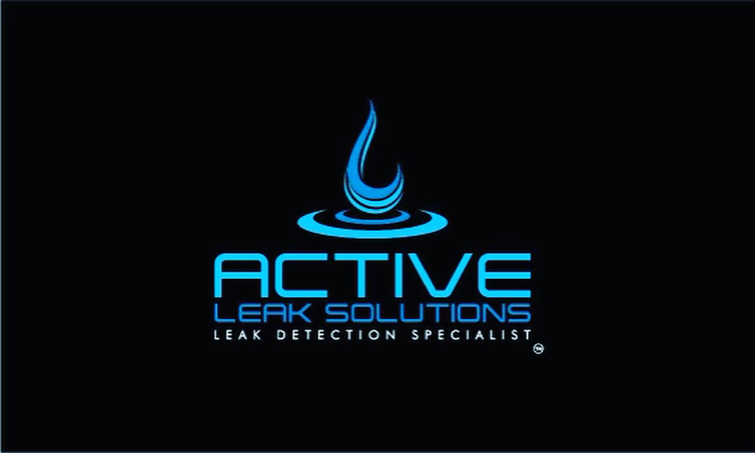 Active Leak Solutions logo