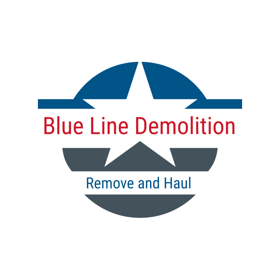 Avatar for Blue Line Demo