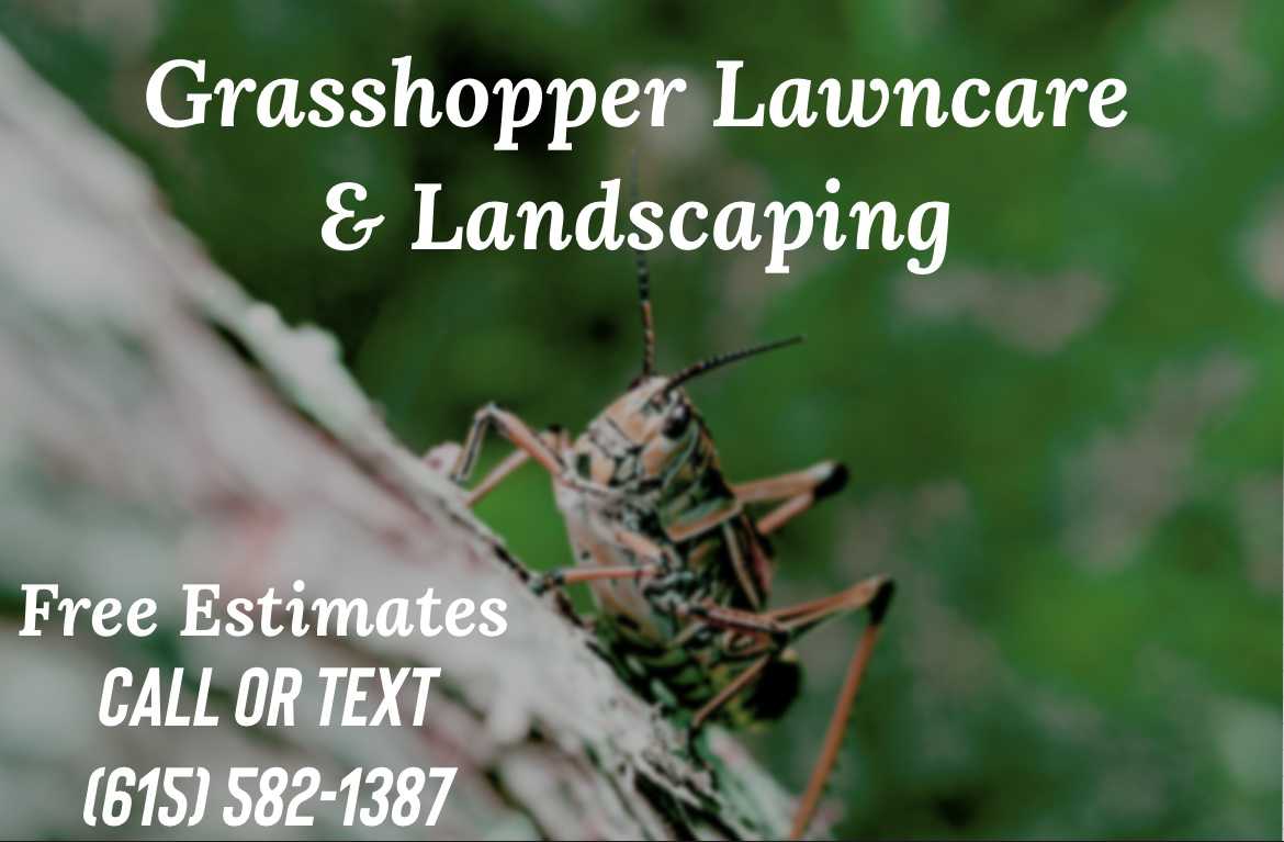 Avatar for Grasshopper Lawncare