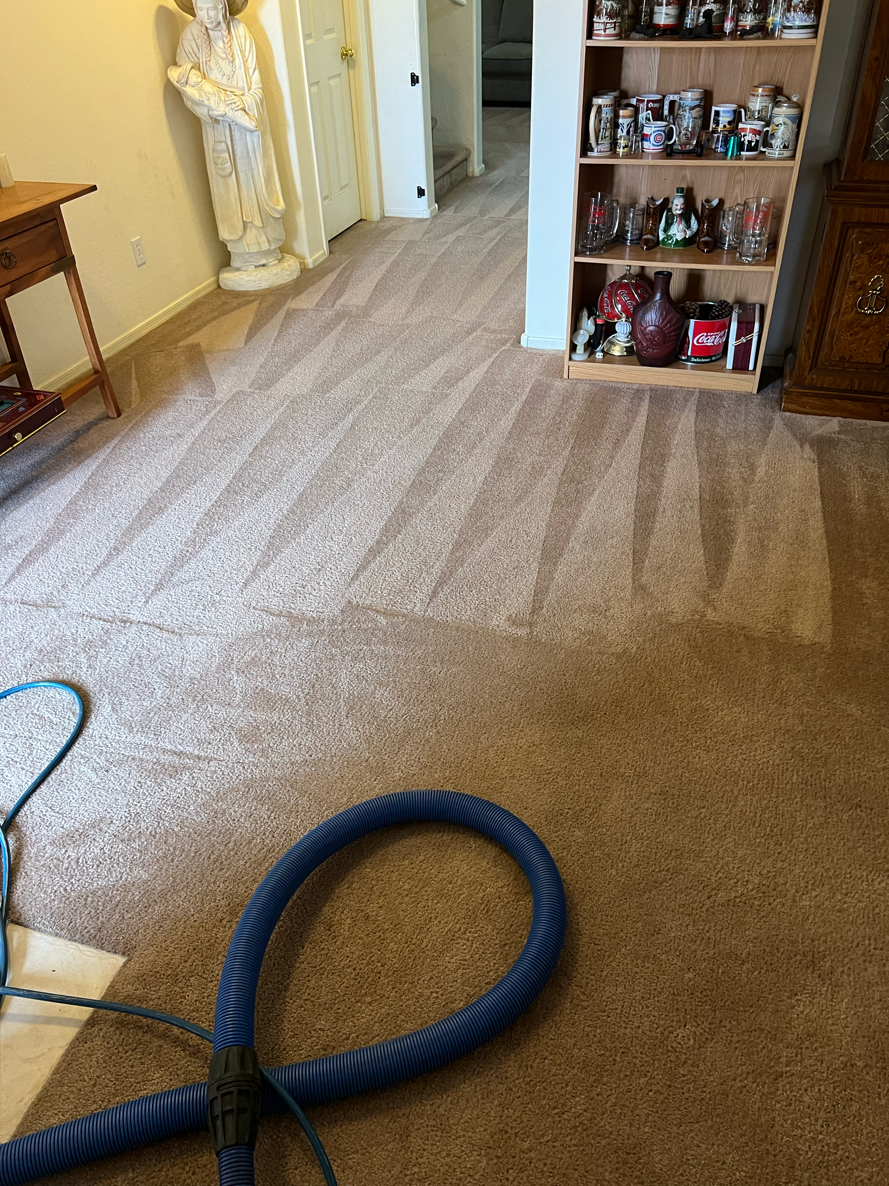 Logo for Ranahan Carpet Care