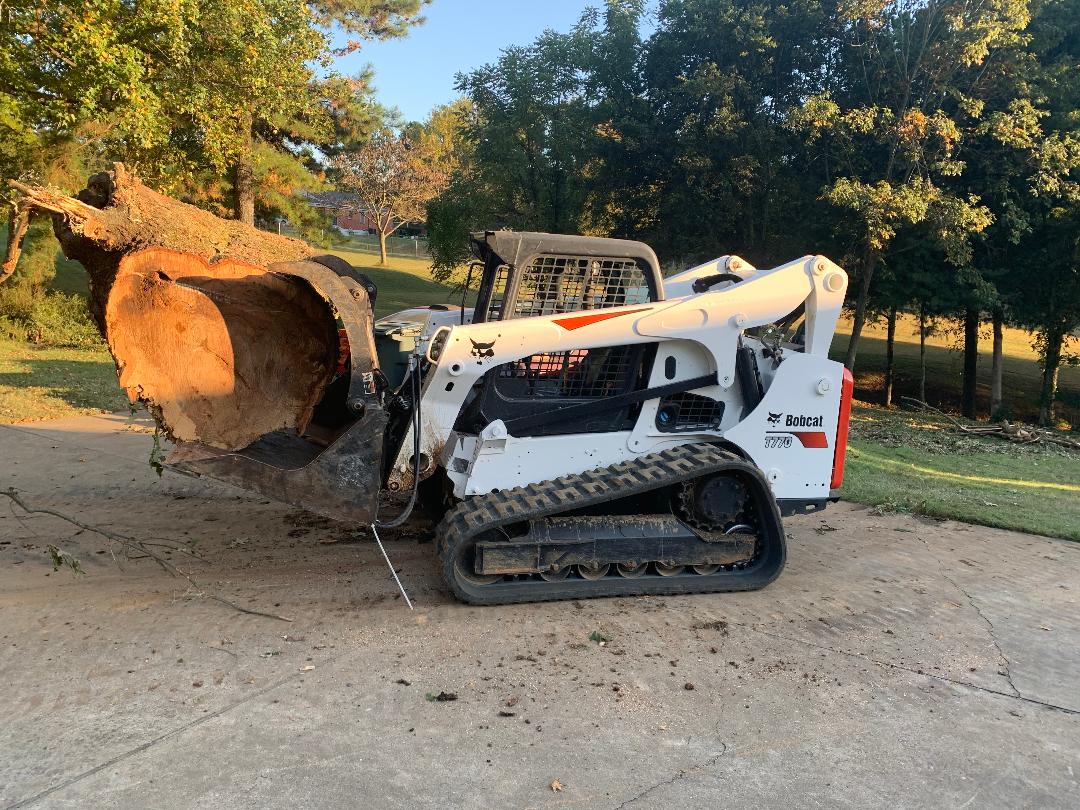 Avatar for ALL Means Tree Service