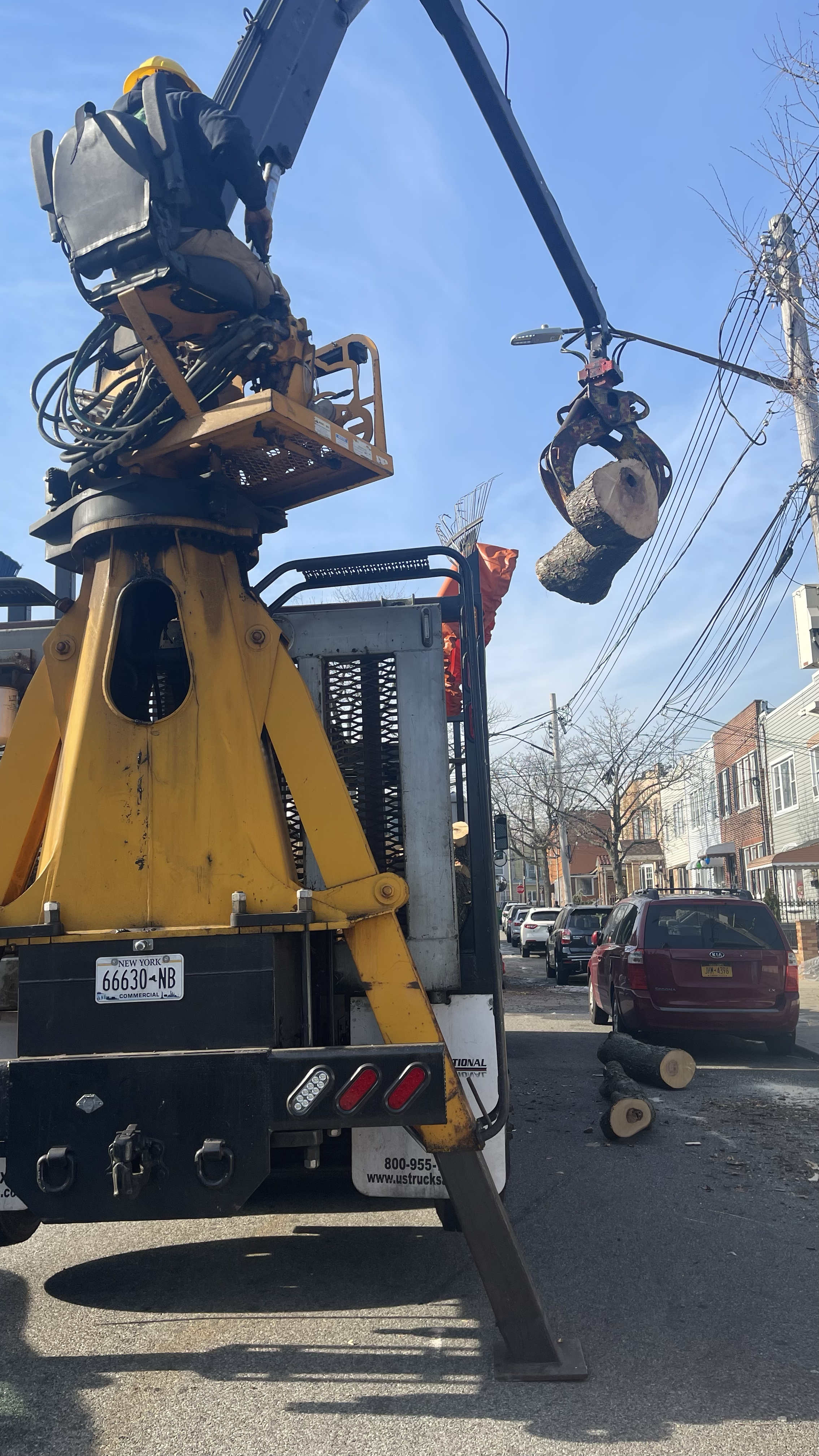 FIVE BOROUGHS AND LONG ISLAND TREE SERVICE NY CORP logo