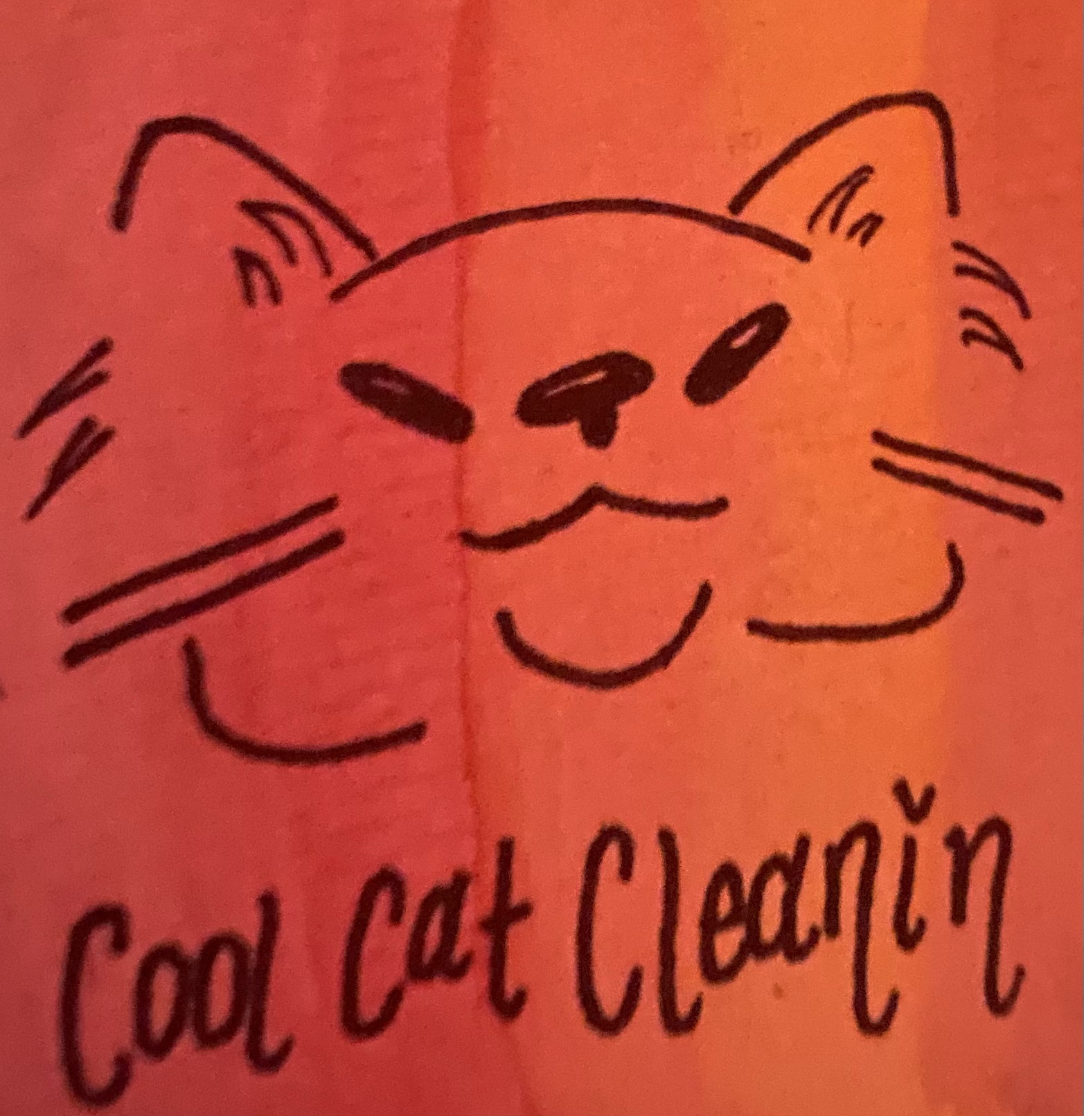 Avatar for Cool Cat Cleaning