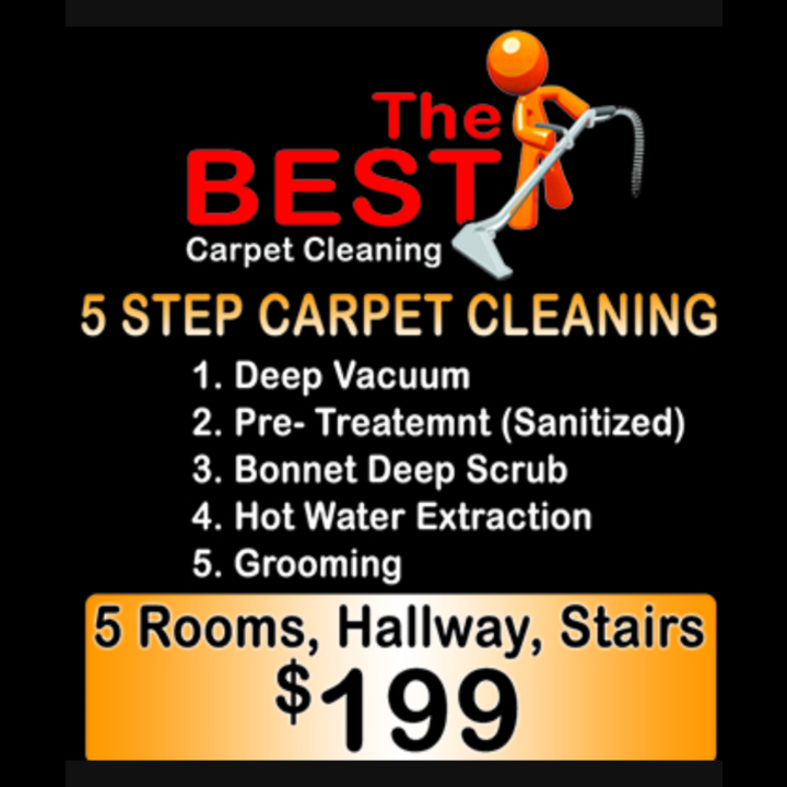 The Best Carpet Cleaning logo