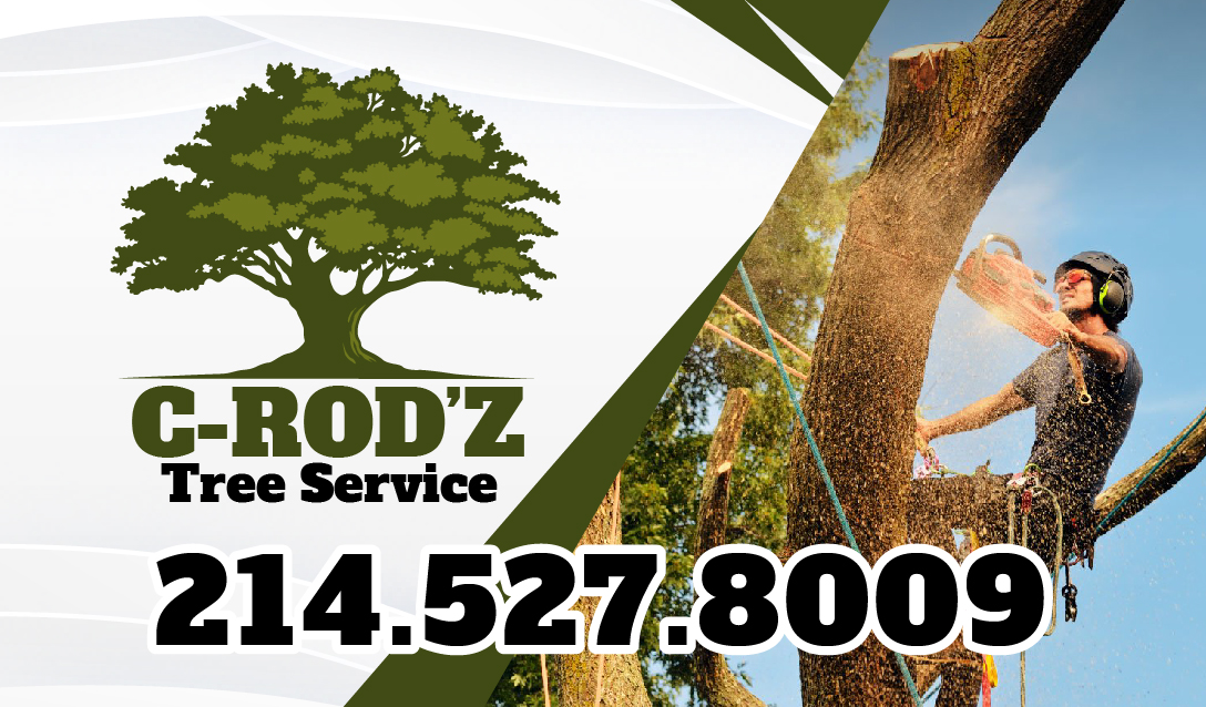 Avatar for C-ROD'Z TREE SERVICE