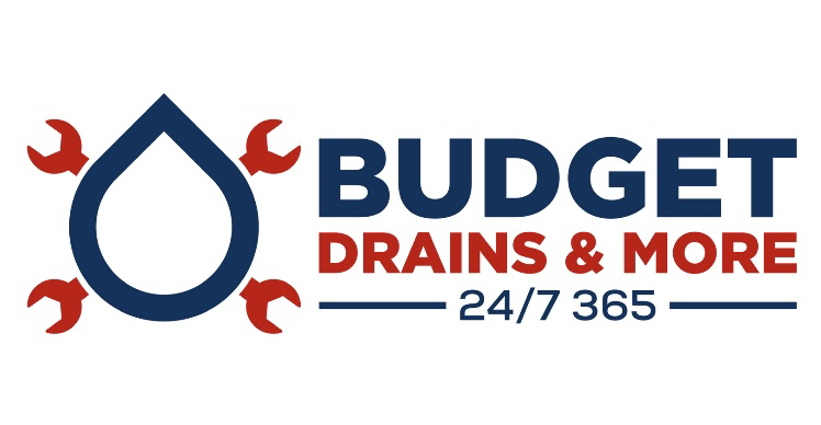 Avatar for Budget Drains
