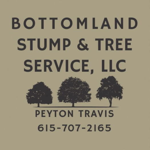 Avatar for Bottomland Stump and Tree Service