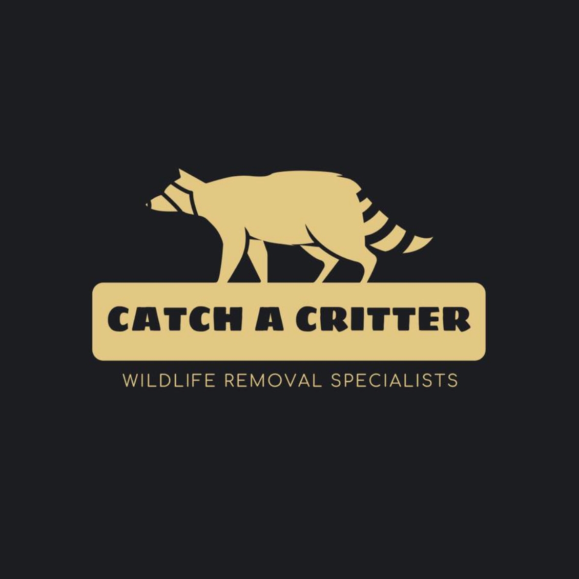 Catch a Critter, LLC logo