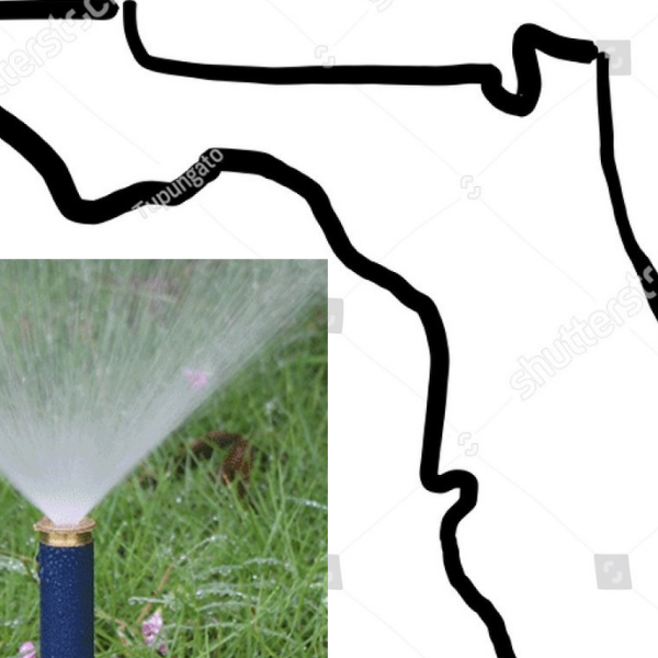 Avatar for Florida irrigation service LLC