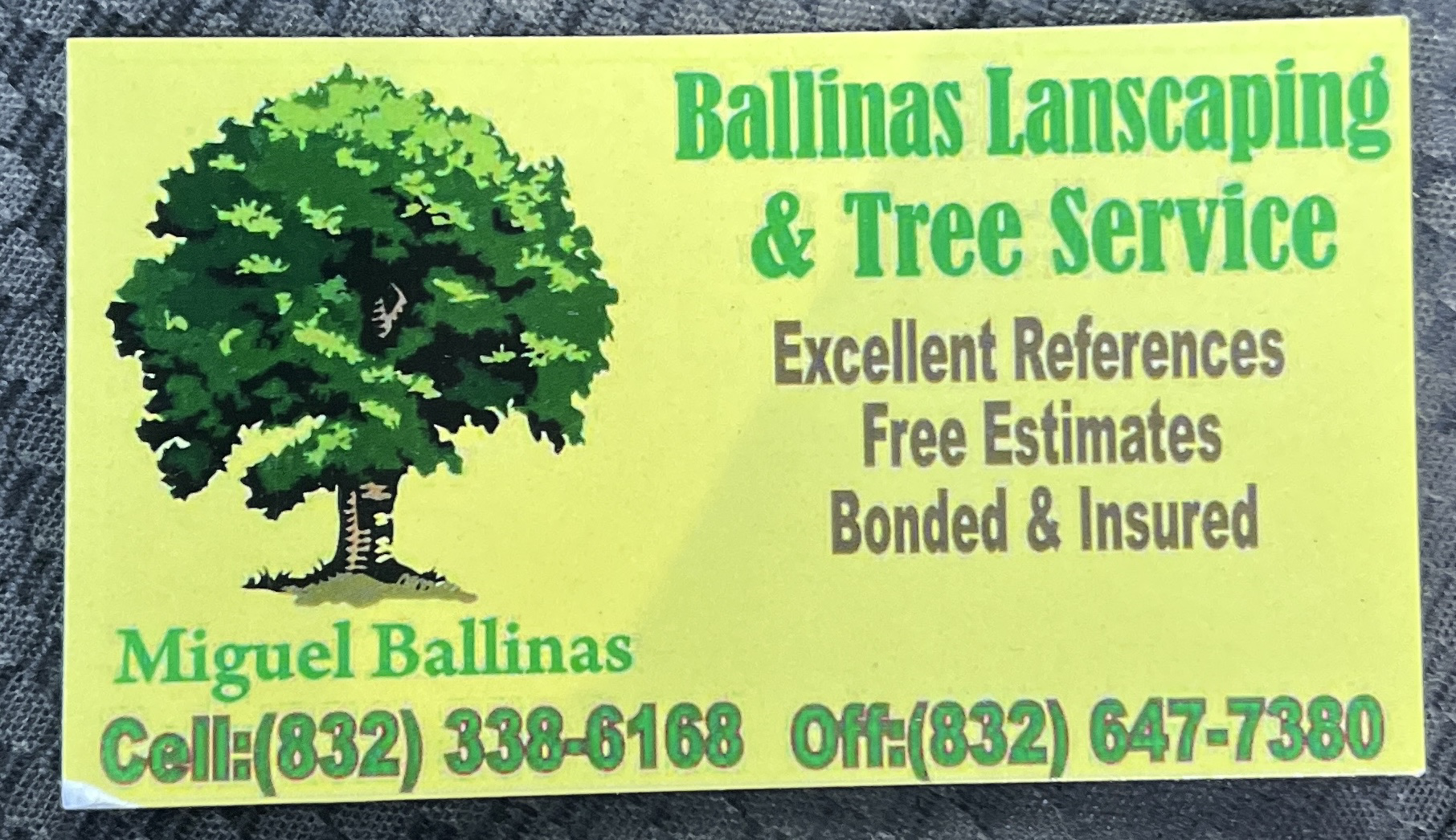 Ballinas Landscaping And Tree Services logo