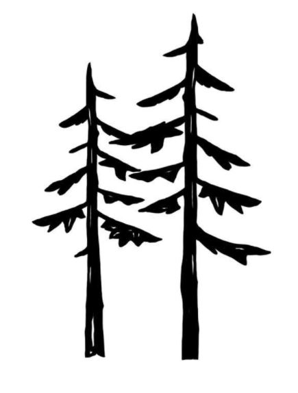 Logo for Twin Pine's Professional's