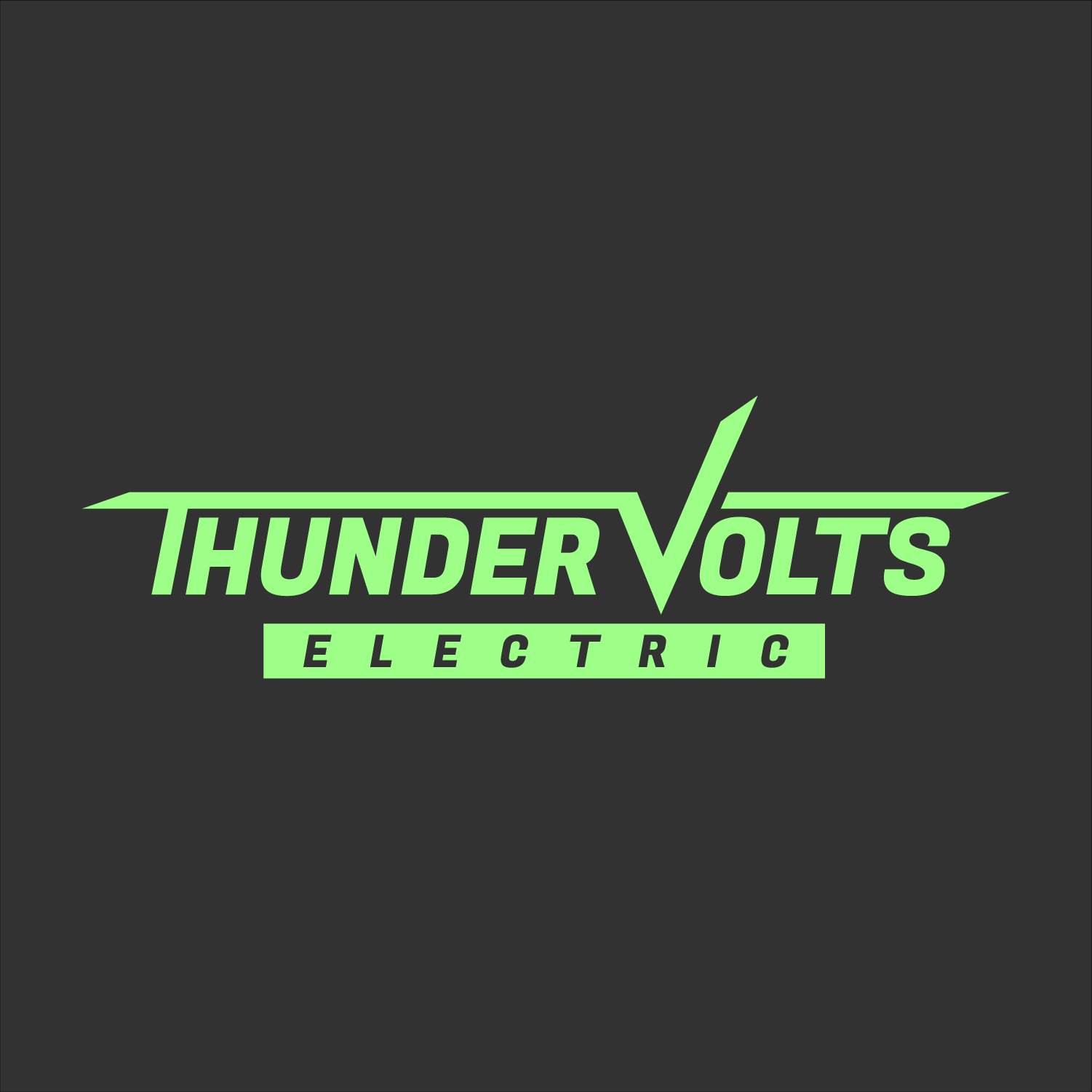 Thunder Volts Electric LLC logo