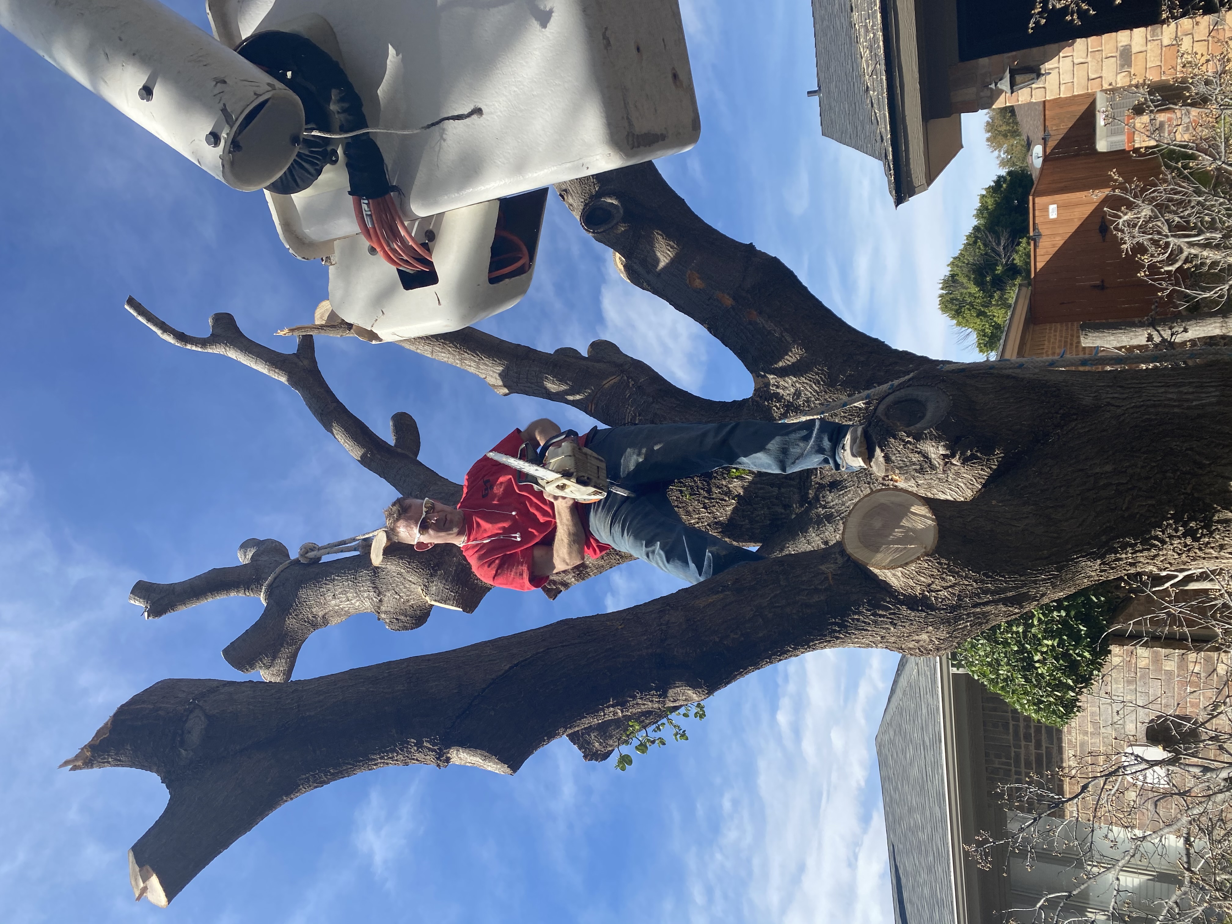 Avatar for Precision Tree & Landscapes