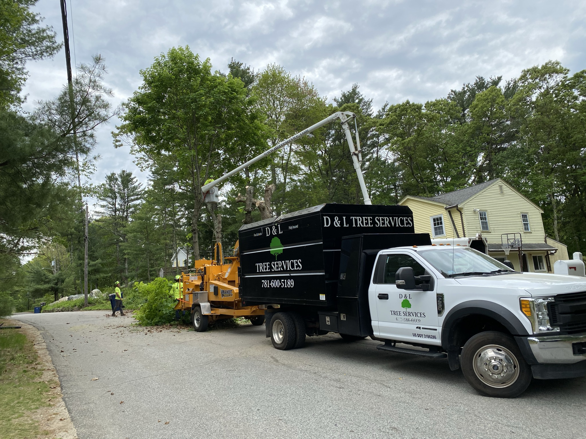 D&L Tree Services Inc logo