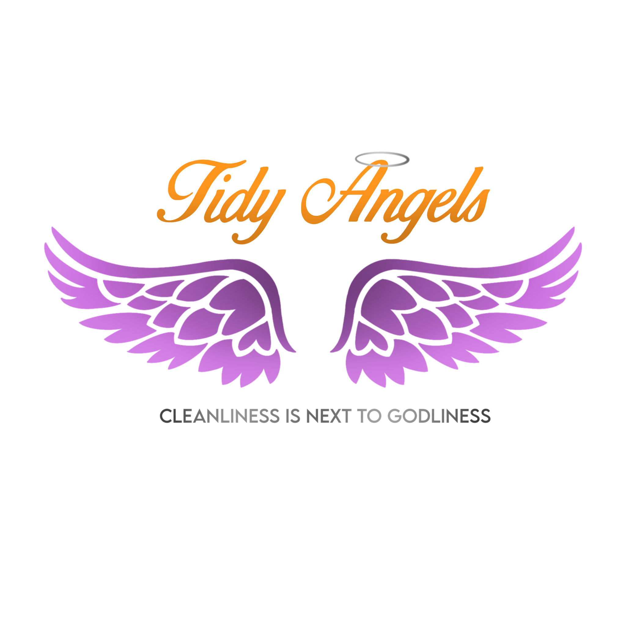 Logo for Tidy Angels