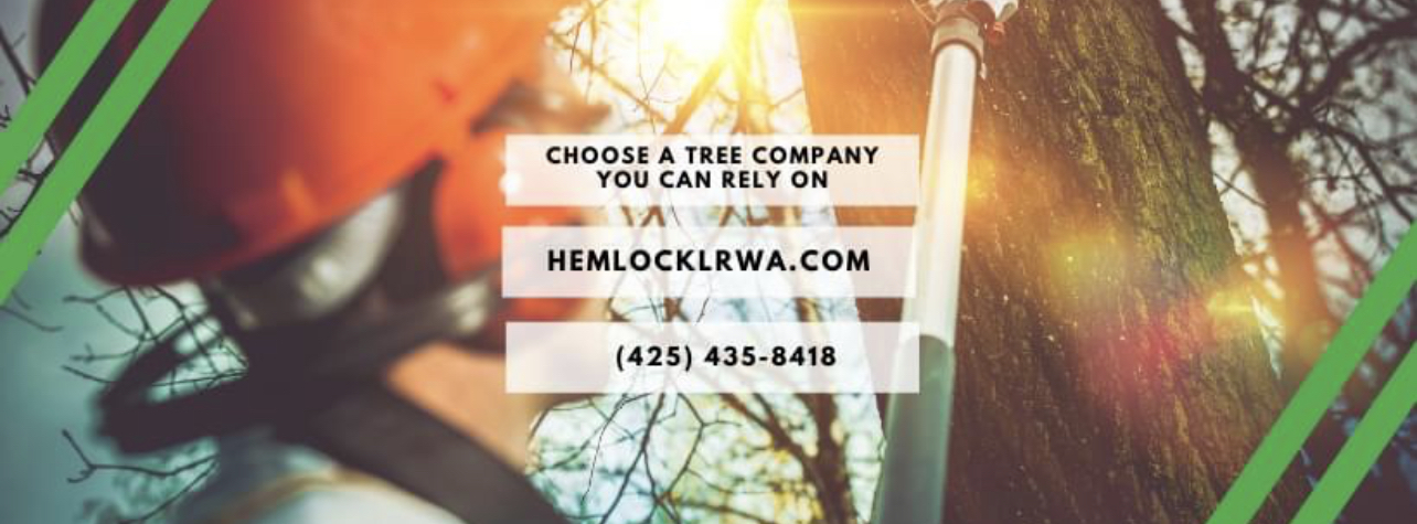 Avatar for Hemlock Landscape and Restoration