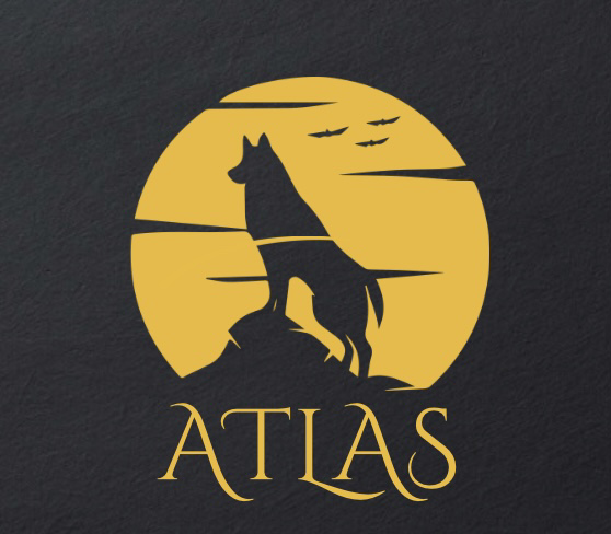 Avatar for Atlas Tech Solutions LLC