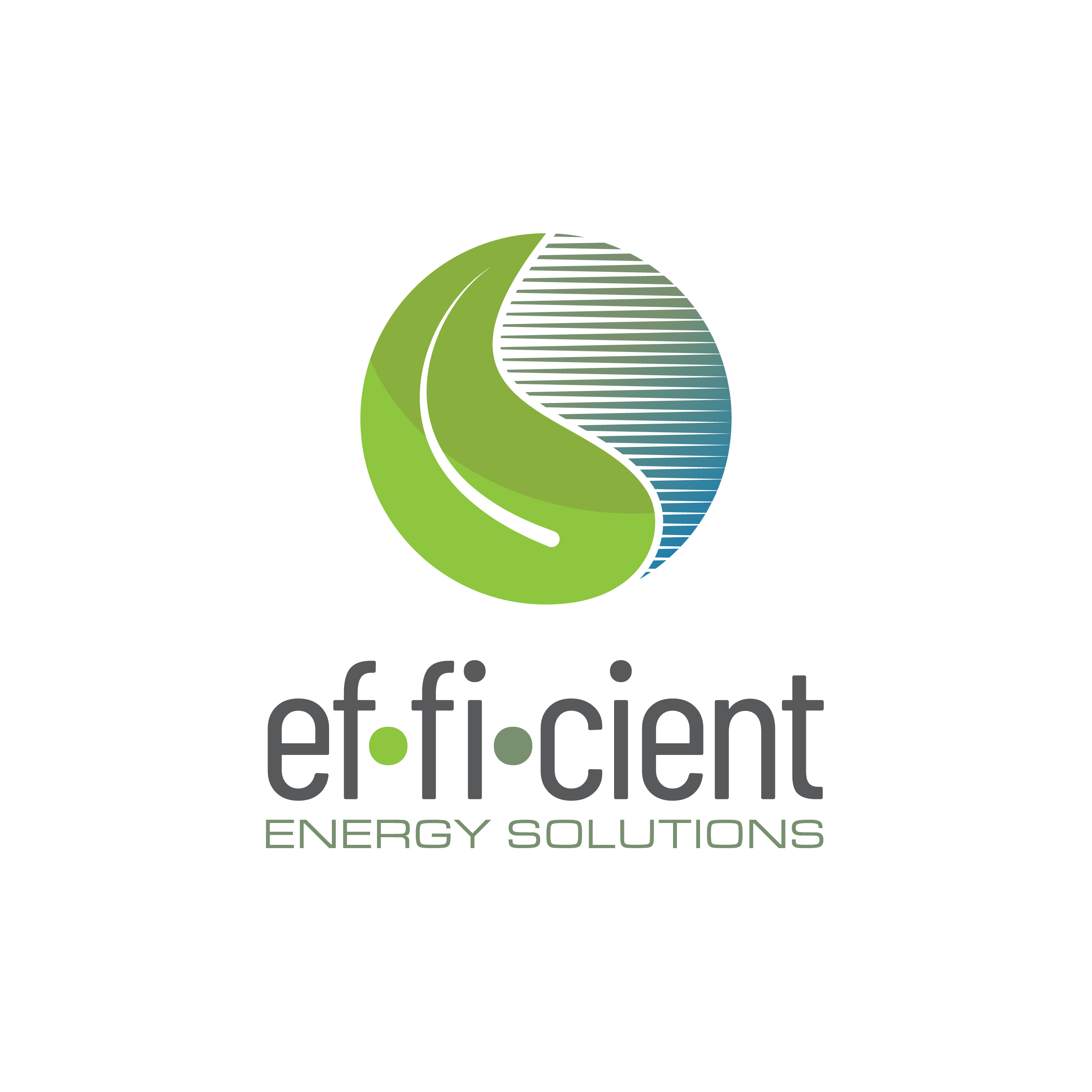 Efficient Energy Solutions logo