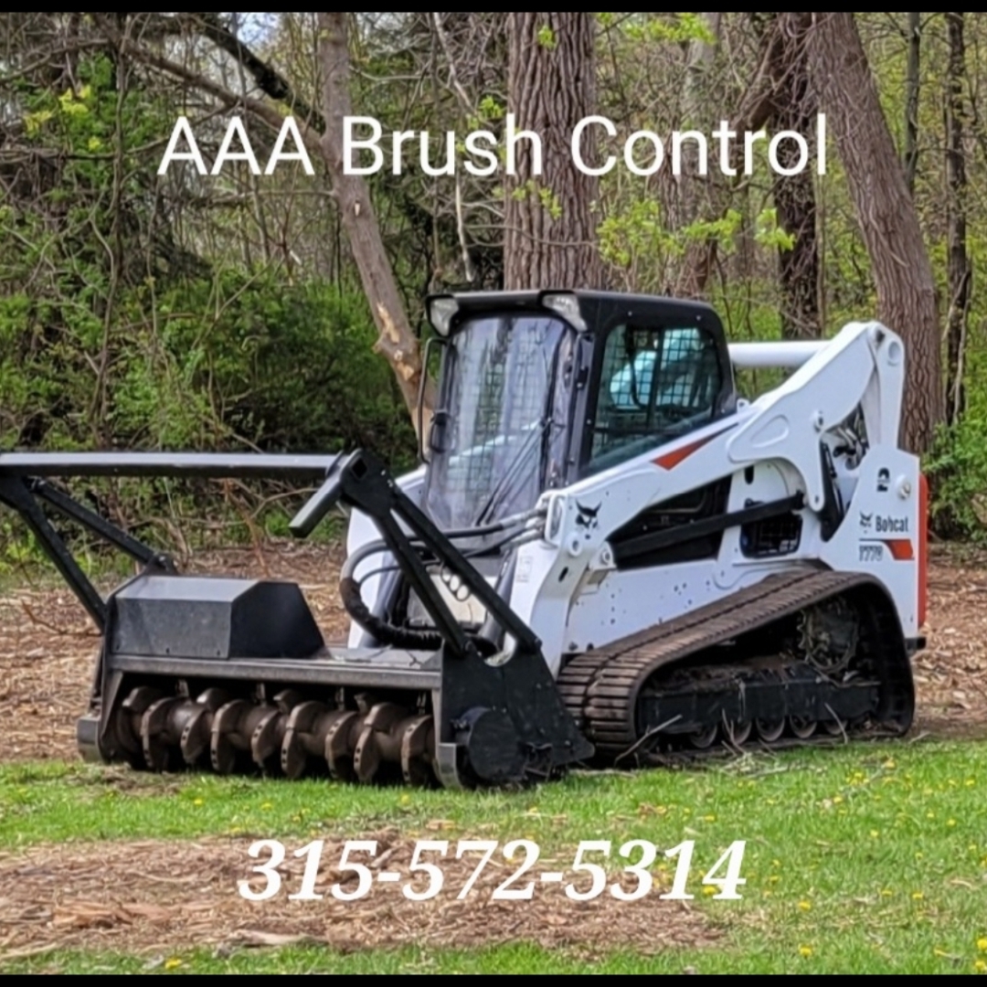 AAA Brush Control logo