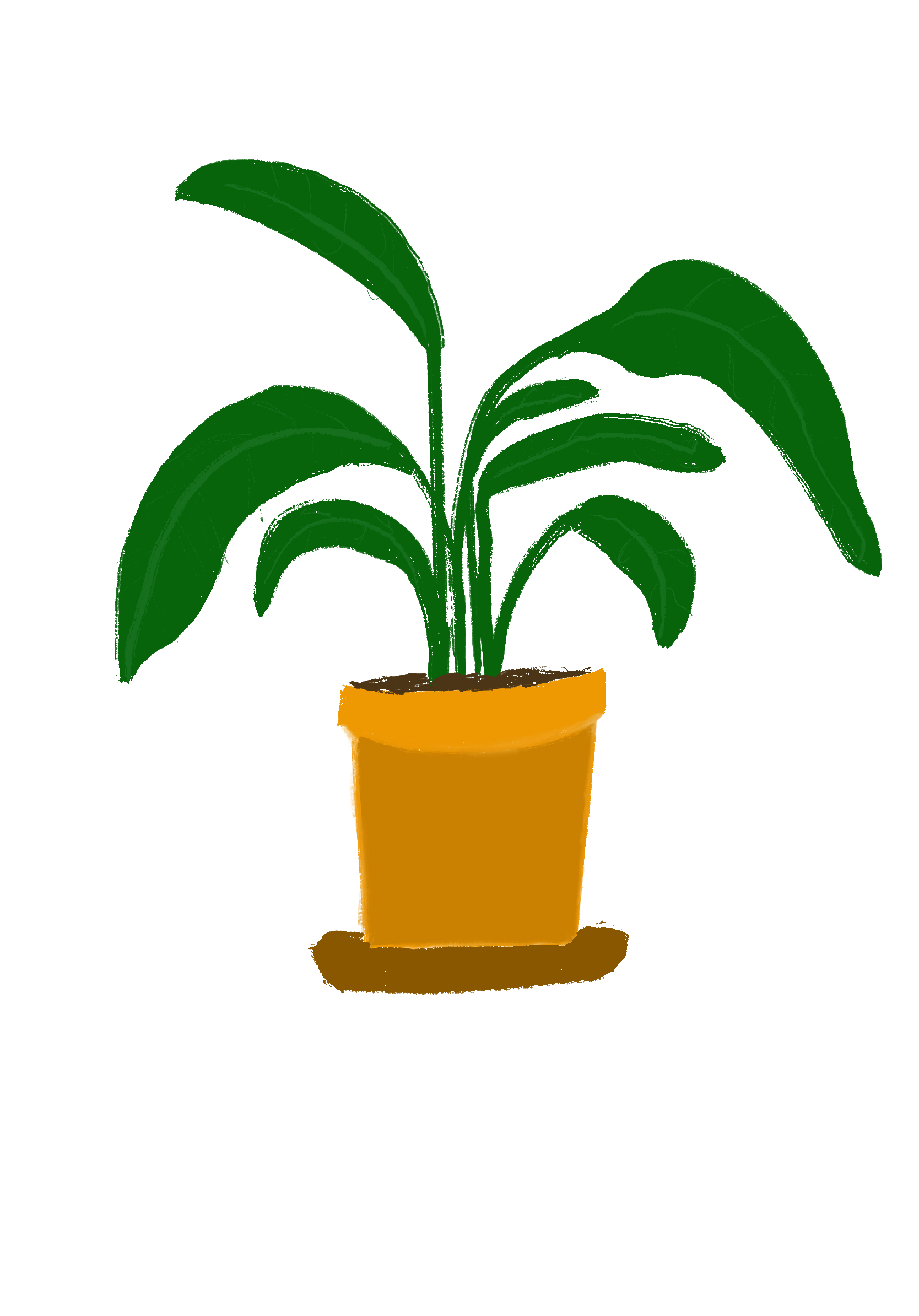 Avatar for Planticular