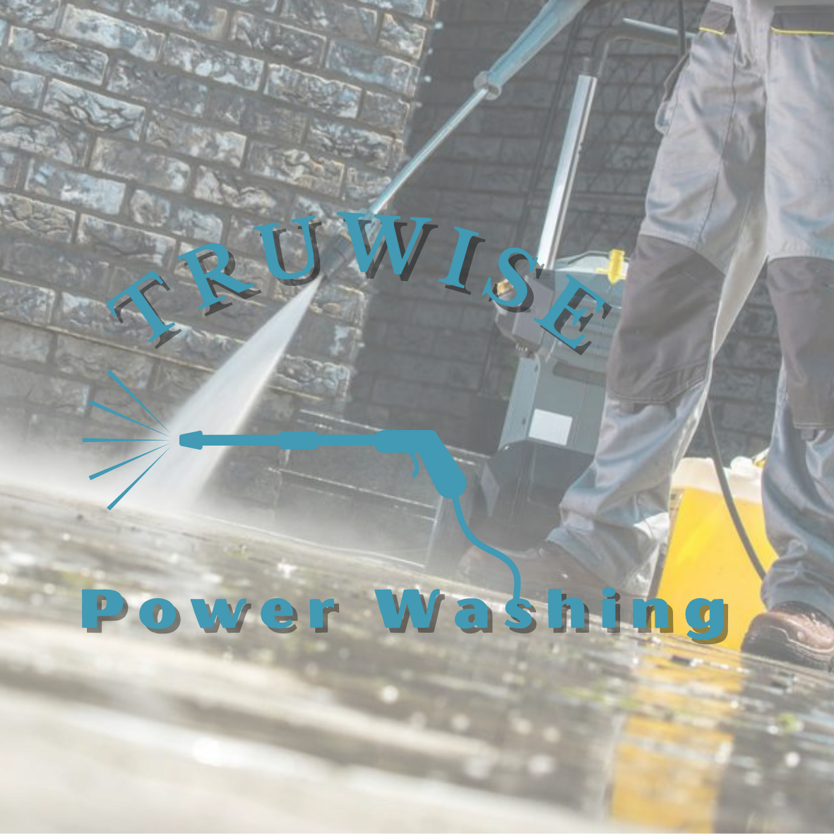 Logo for TruWise Power Washing