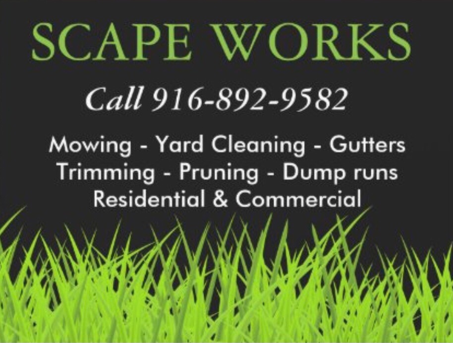 Logo for SCAPE WORKS