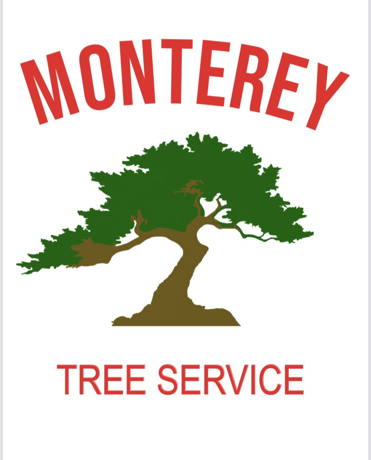 Monterey Tree Service logo