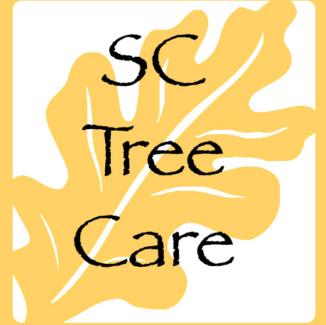 SC Tree Care logo