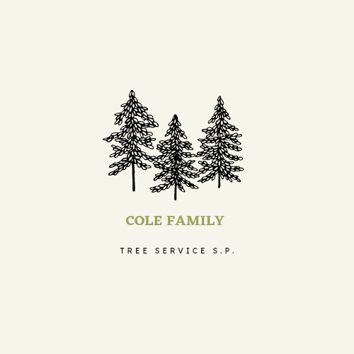 Avatar for Cole Family Tree Service