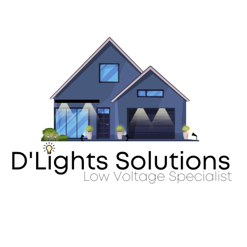 Avatar for D Lights Solutions