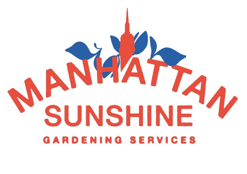 Avatar for Manhattan Sunshine