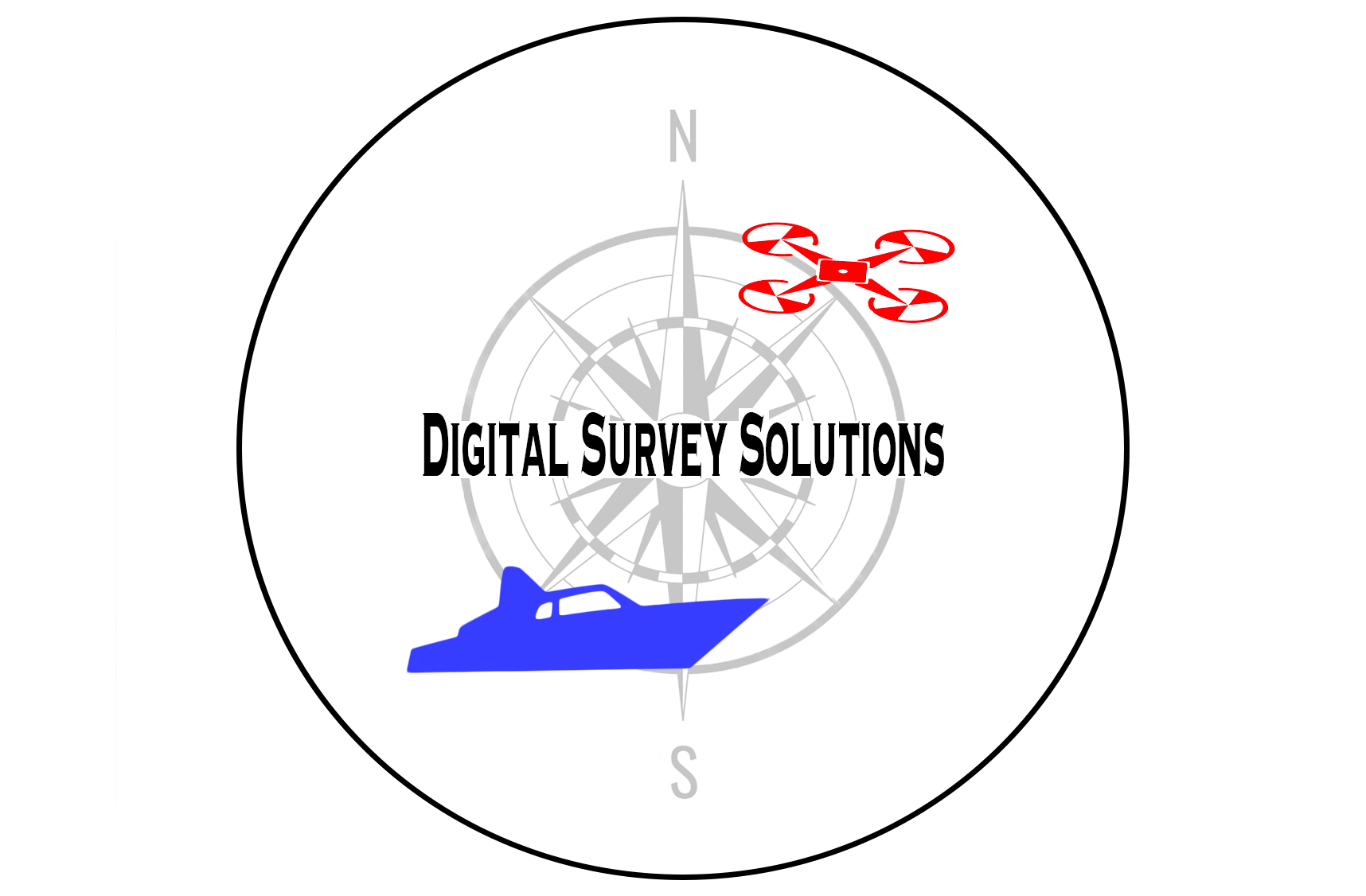 Digital Survey Solutions logo