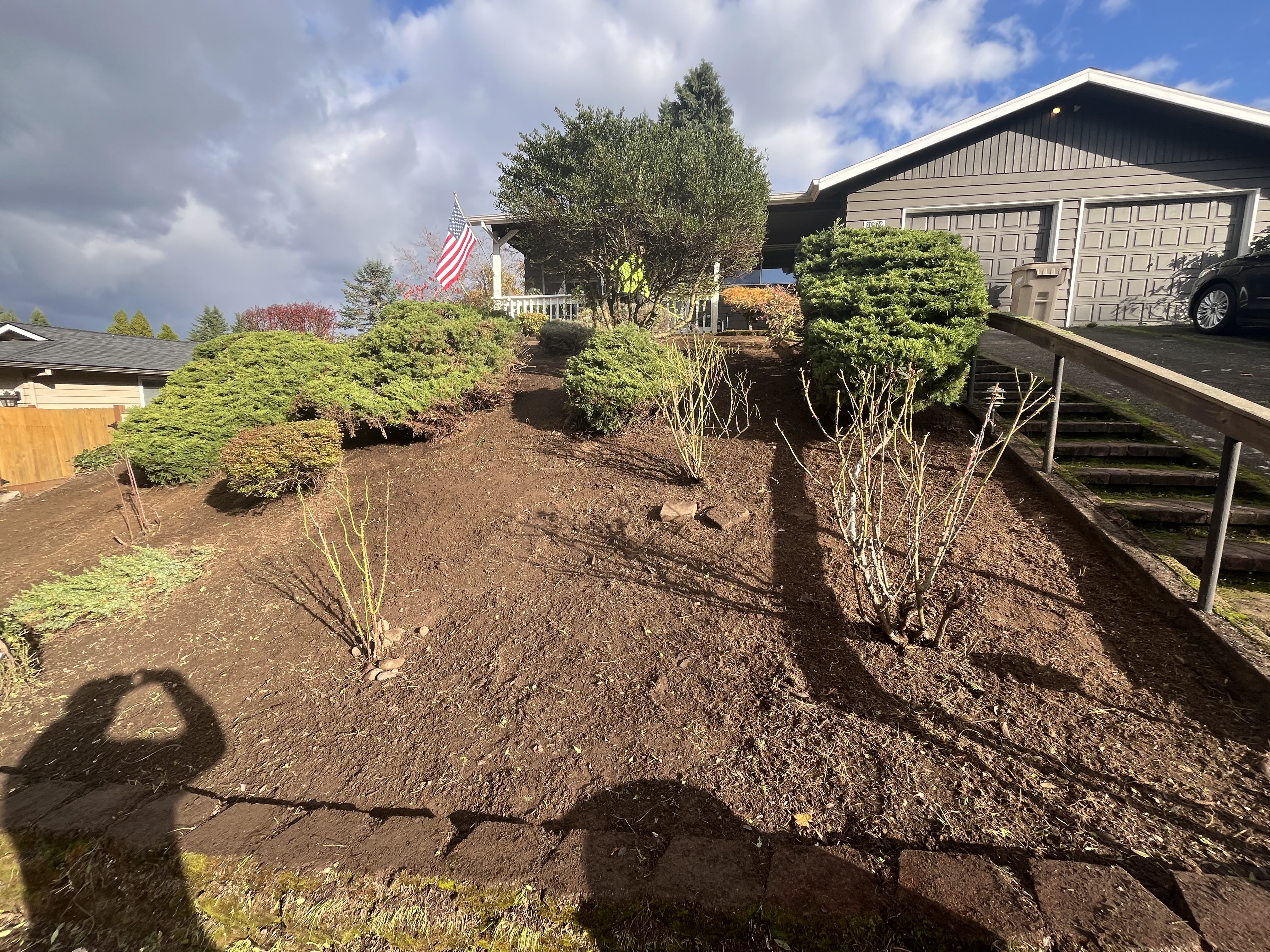 M-S Landscaping Services logo