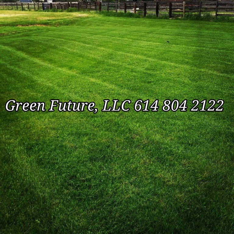 Logo for Green Future LLC
