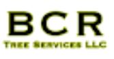 BCR Tree Services logo
