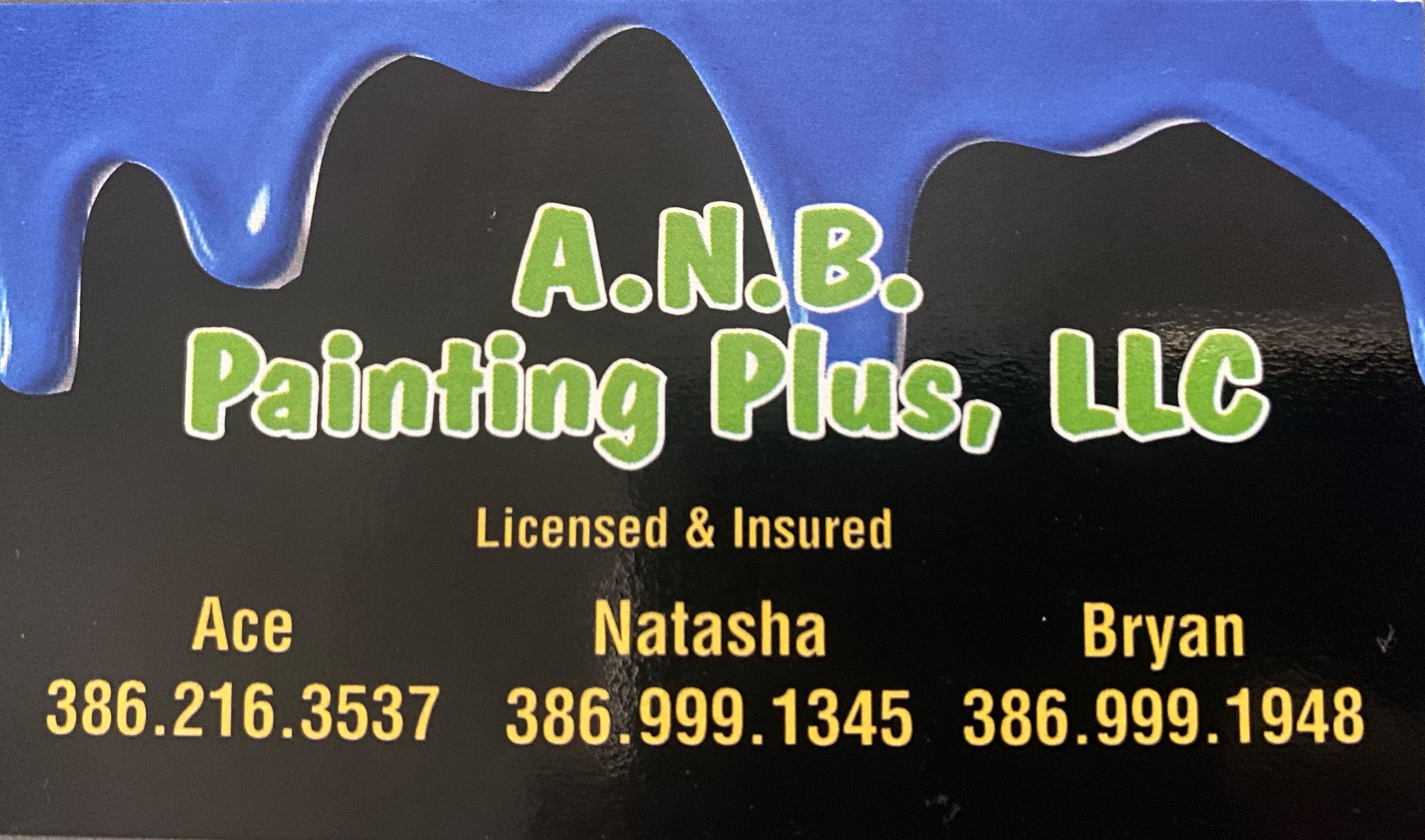 Logo for A.N.B. PAINTING PLUS
