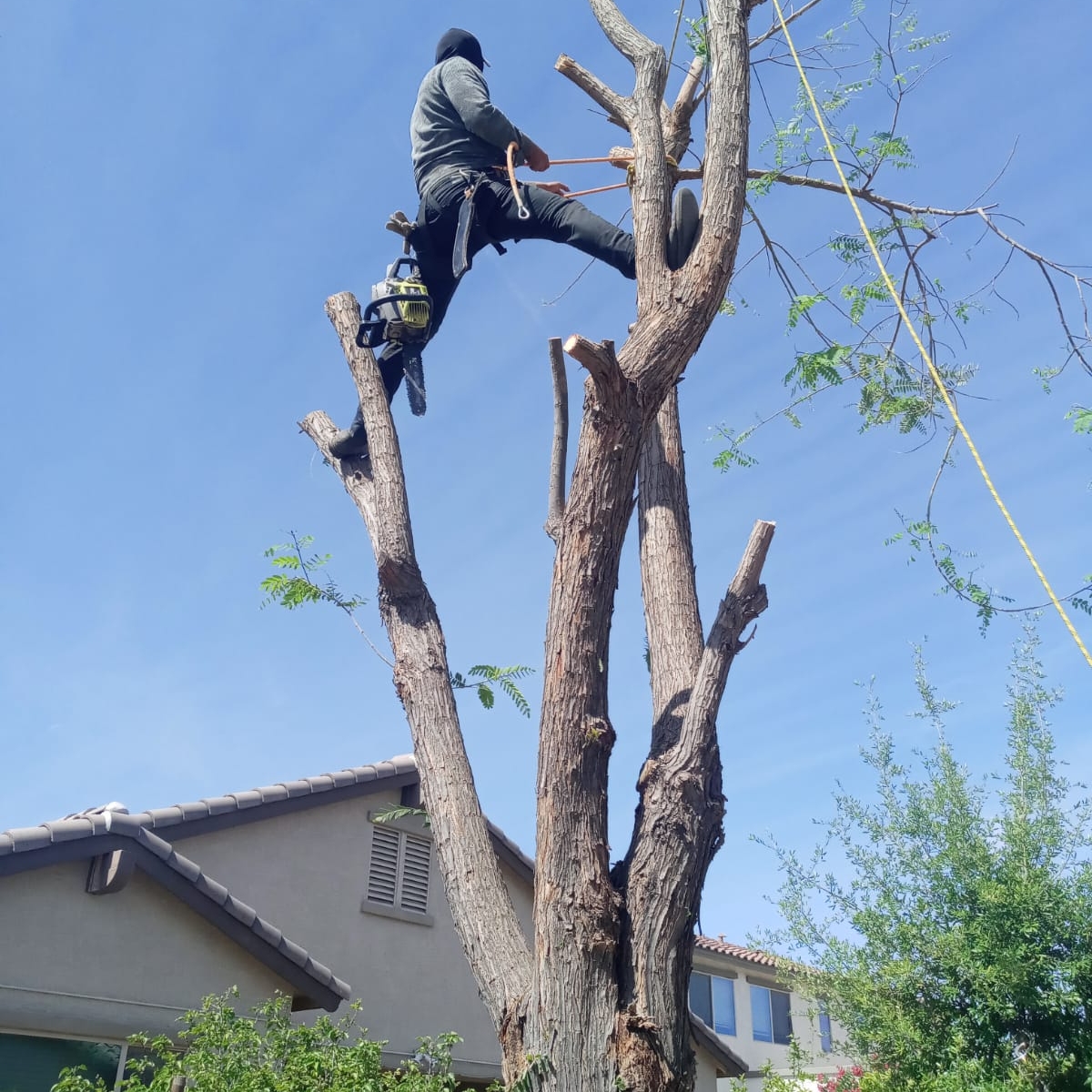 Avatar for Garfield Tree Services LLC