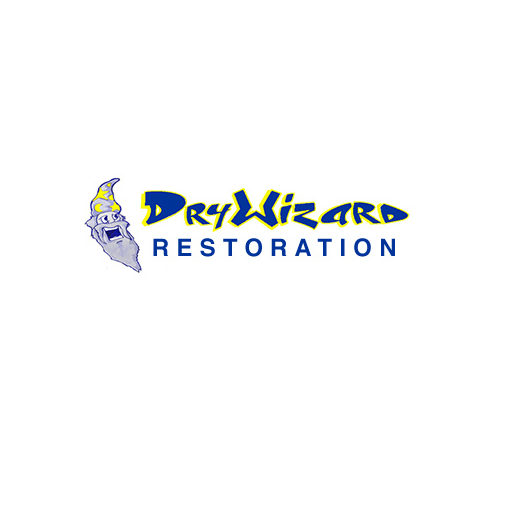 Drywizard Restoration & Drywall Inc. logo