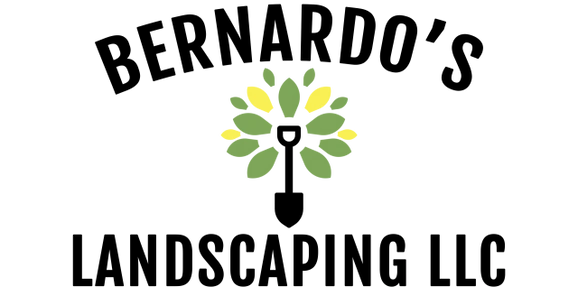 Avatar for Bernardo's Landscaping